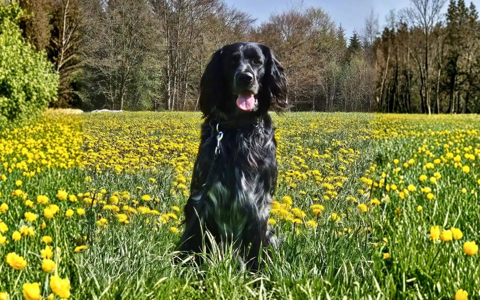 Cash &ndash; mois 3