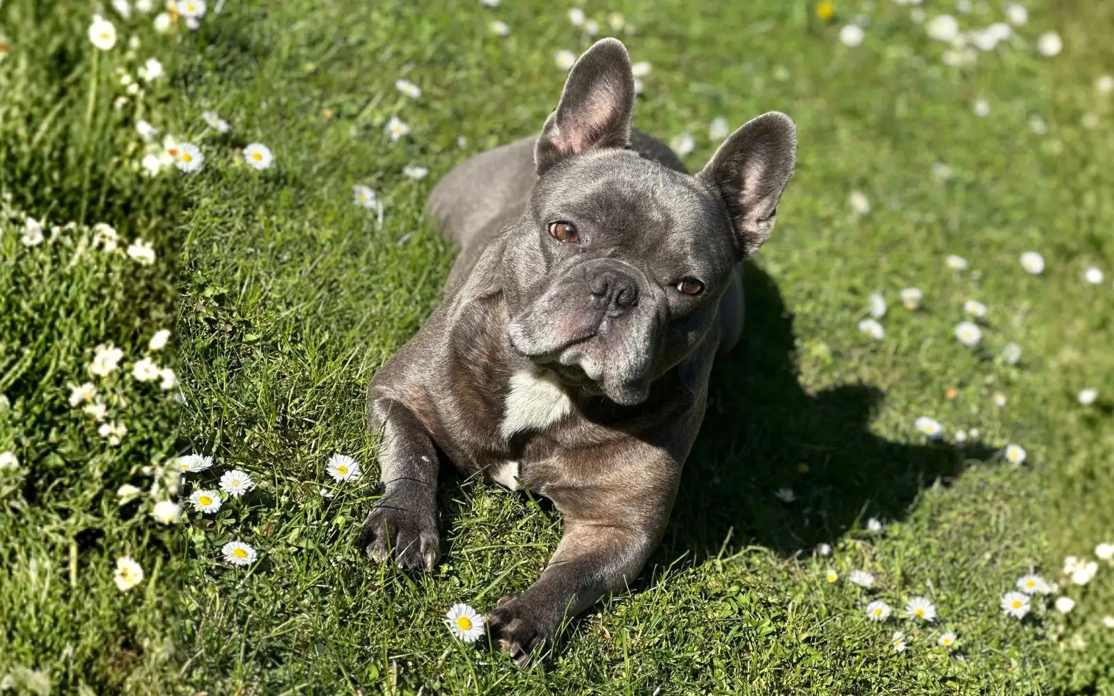 Milo &ndash; Mois 1